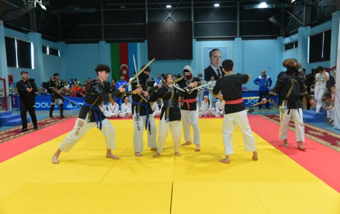 Baku Sports Festival2